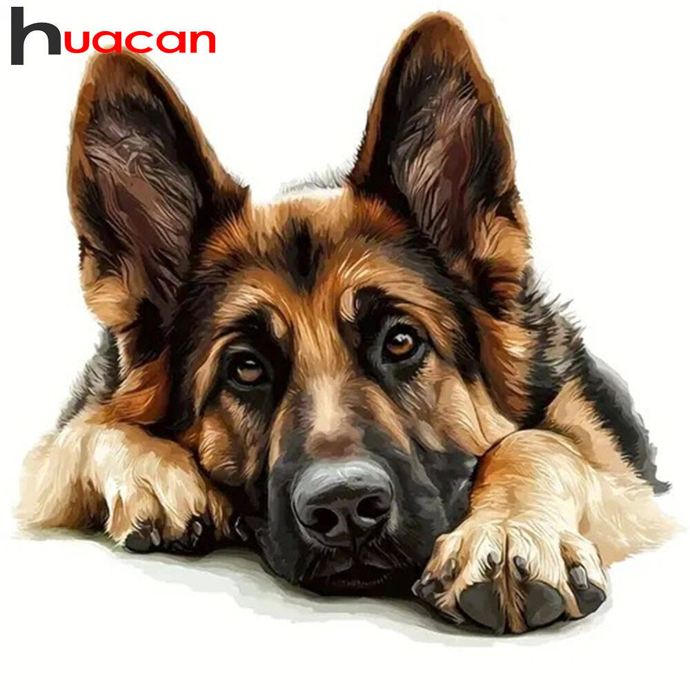 Germany Home Decor - Huacan 2025 Nuova collezione Dipinti con