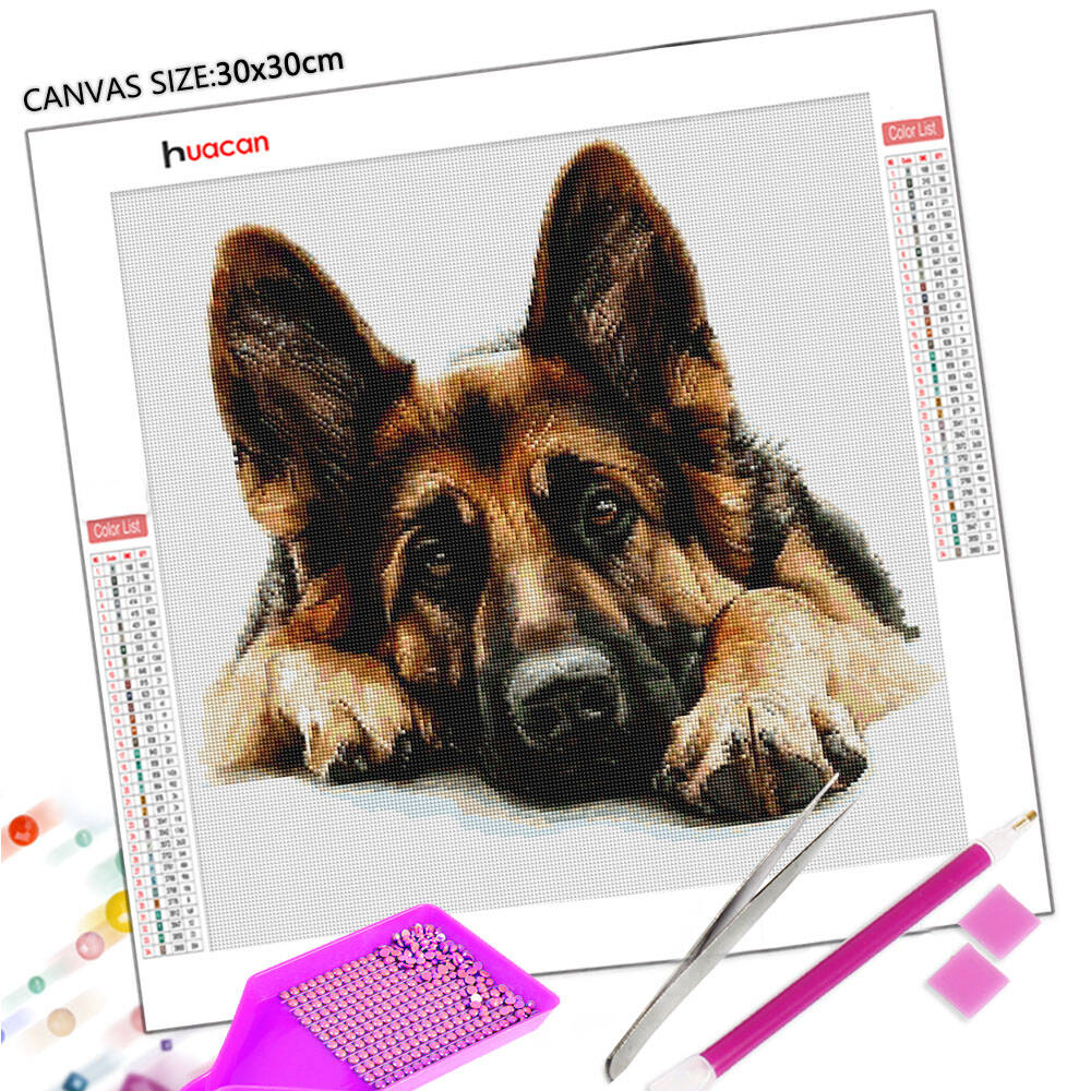 Huacan 2025 Nuova collezione D - Germany Home Decor recensione e prezzo